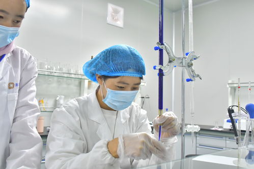 沛華農業大方生產基地建成投產 做強沛華集團刺梨產業 組織文化藝術交流活動