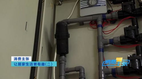紙上種菜、海綿栽花 科技讓在家種菜更輕松，樓宇智能化工程賦能未來(lái)