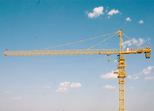 濰坊塔吊司機(jī)證去哪里考 哪個部門頒發(fā)的比較好用